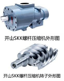 �_ɽ�ݗU�Չ��C�C�^���ΈD